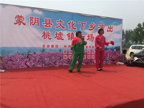 蒙陰桃墟鎮(zhèn)開(kāi)展送文化下鄉(xiāng)文藝演出暨文化藝術(shù)交流活動(dòng)